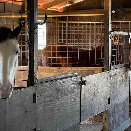 班德拉 Crc Ranch Retreat酒店 外观 照片